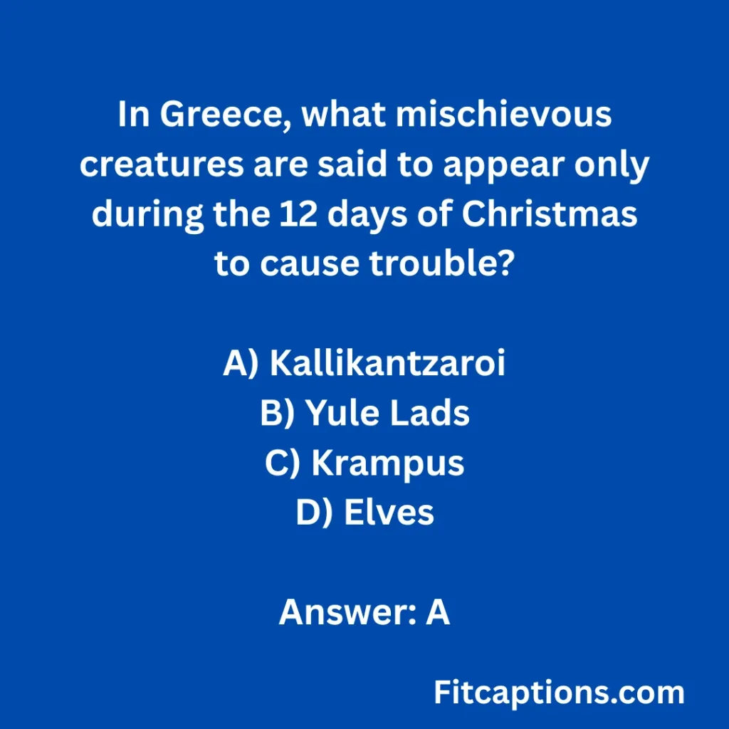 'Bing Festive Traditions Quiz Questions and Answers"