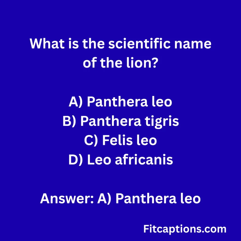 "Lion Quiz Questions And Answers"