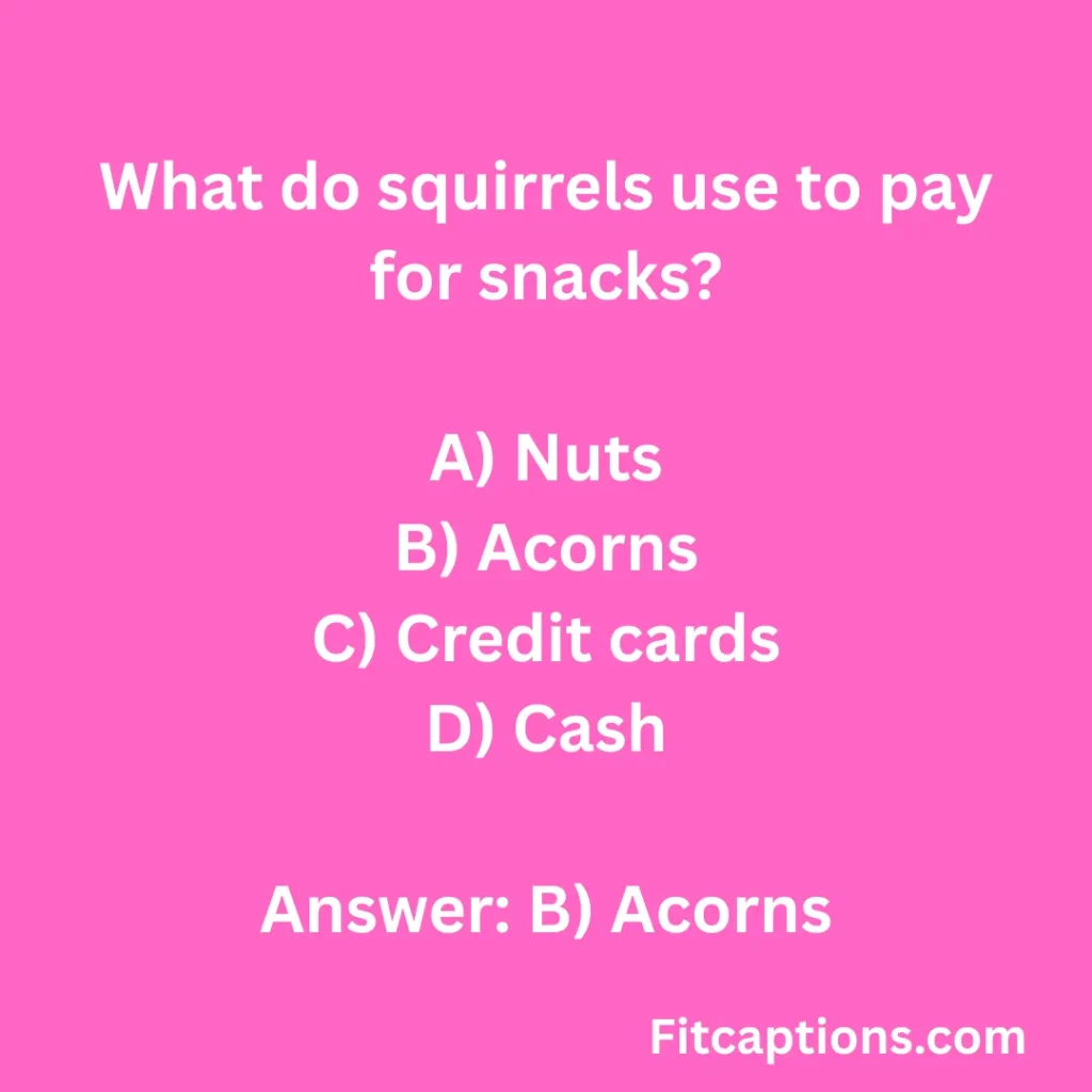 "Fun Squirrel Quiz Questions And Answers"