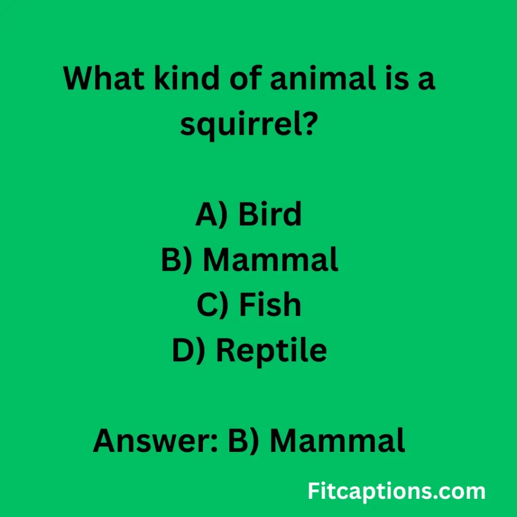 "Fun Squirrel Quiz Questions And Answers"