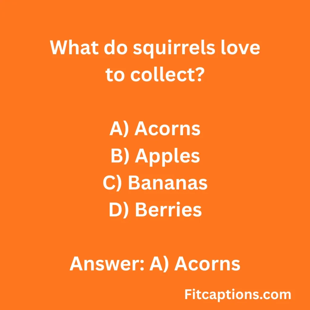 "Fun Squirrel Quiz Questions And Answers"