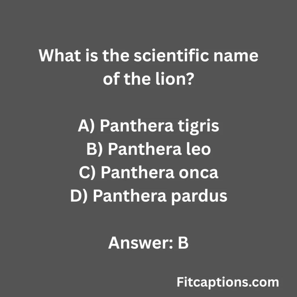 "Lion Quiz Questions And Answers"