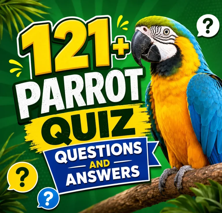 "Parrot Quiz Questions And Answers'