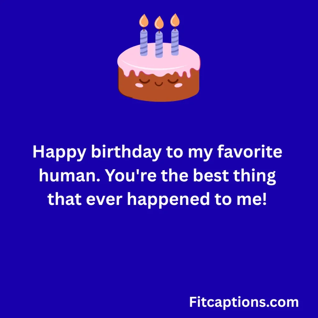 "Birthday Wishes for Husband From Wife"