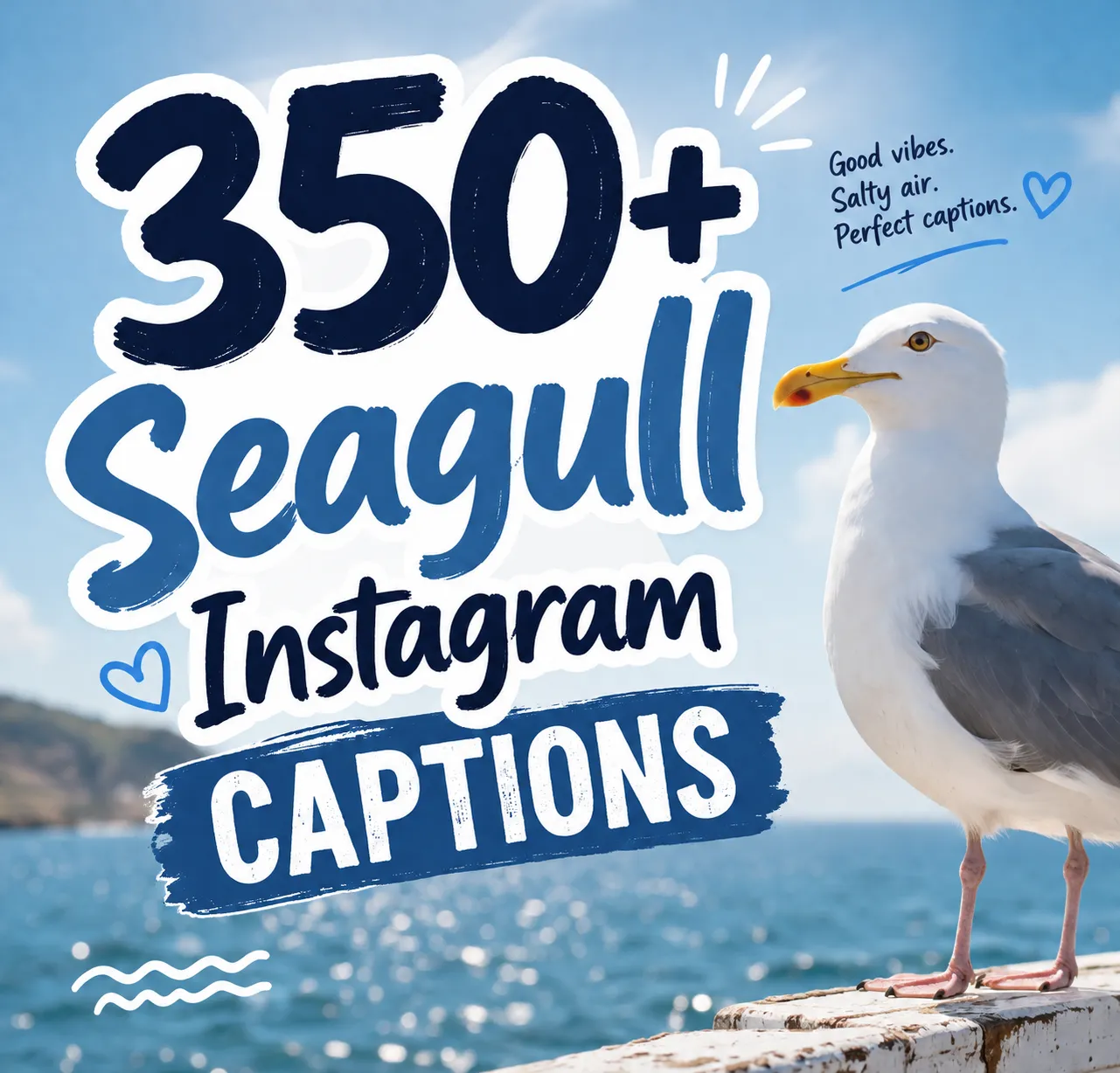 seagull Instagram captions