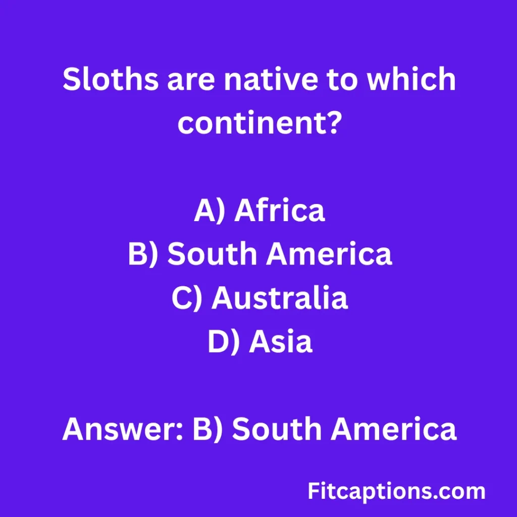 "Sloth Quiz Questions and Answers"