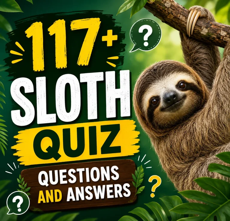 "Sloth Quiz Questions and Answers"