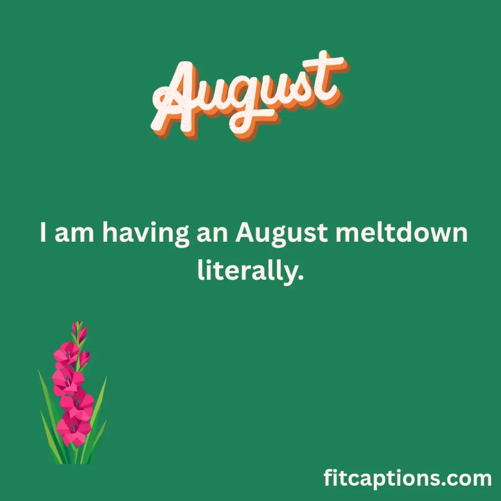 "Funny August Puns"
