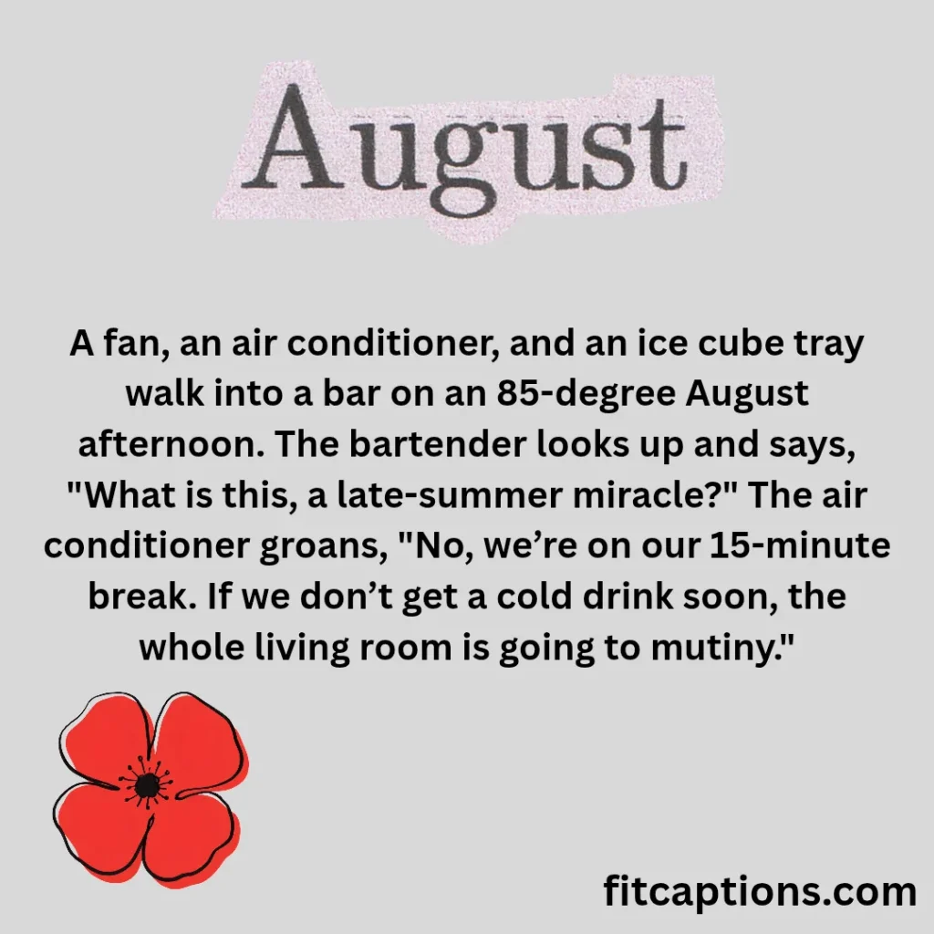 "Funny August Jokes"
