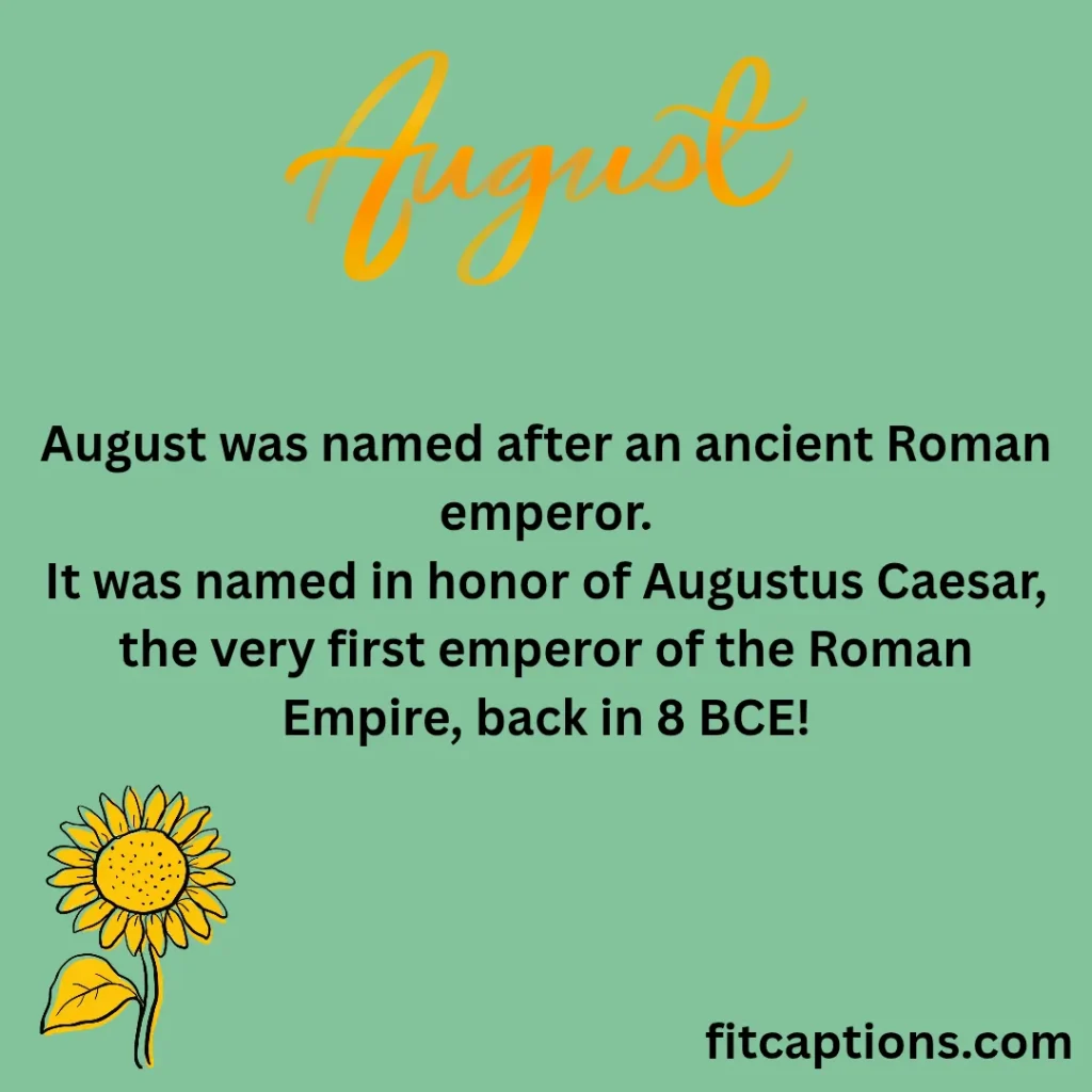 "August Fun Facts "