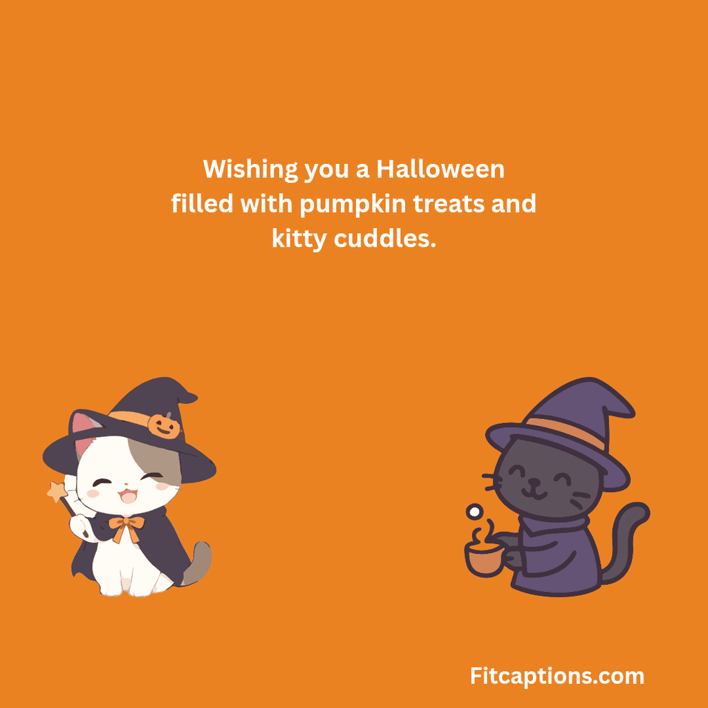 151+ Cat Halloween Messages for Spooky and Cute Wishes 1000092450